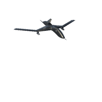 Drone Predator B
